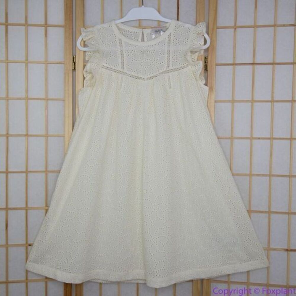 NEW Madewell Off White Eyelet Ruffle-Sleeve Mini Dress, XL